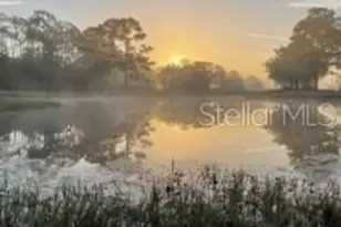 3455 E Fairway Vista Dr, Avon Park, FL 33825 - Photo 13