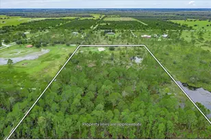 30 Milky Wy, Venus, FL 33960 - Photo 29