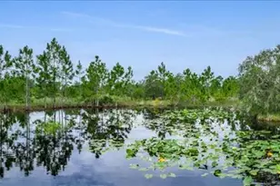 30 Milky Wy, Venus, FL 33960 - Photo 45