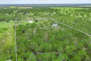 30 Milky Wy, Venus, FL 33960 - Photo 31