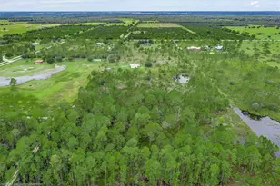 30 Milky Wy, Venus, FL 33960 - Photo 45