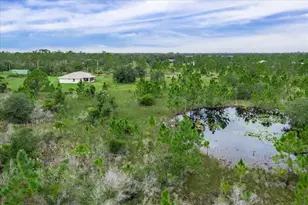 30 Milky Wy, Venus, FL 33960 - Photo 33
