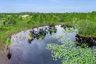 30 Milky Wy, Venus, FL 33960 - Photo 41