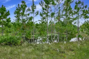 30 Milky Wy, Venus, FL 33960 - Photo 39