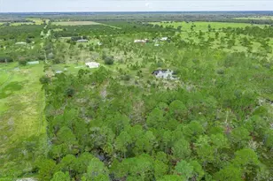 30 Milky Wy, Venus, FL 33960 - Photo 43