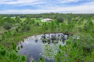 30 Milky Wy, Venus, FL 33960 - Photo 35