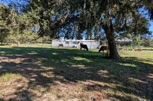 5950 Cow Pen Rd, Bartow, FL 33830 - Photo 15