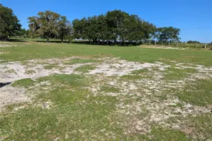 5950 Cow Pen Rd, Bartow, FL 33830 - Photo 5