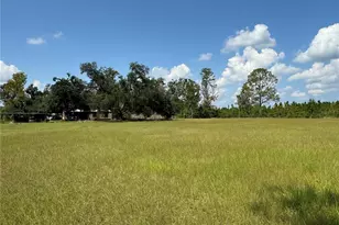 6001 185th Rd, Live Oak, FL 32060 - Photo 67