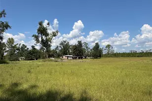 6001 185th Rd, Live Oak, FL 32060 - Photo 71