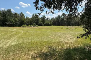 6001 185th Rd, Live Oak, FL 32060 - Photo 75