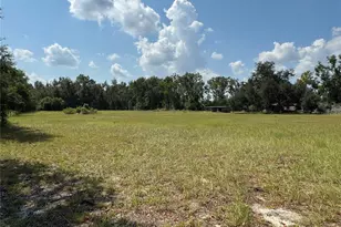 6001 185th Rd, Live Oak, FL 32060 - Photo 69