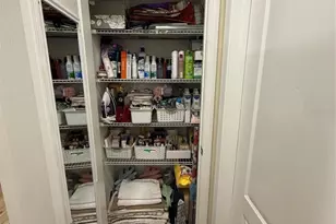 20106 Blue Daze Ave, Tampa, FL 33647 - Photo 13