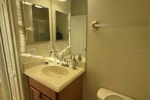 20106 Blue Daze Ave, Tampa, FL 33647 - Photo 57