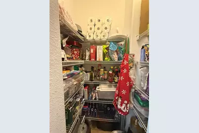 20106 Blue Daze Avenue, Tampa, FL 33647 - Photo 33