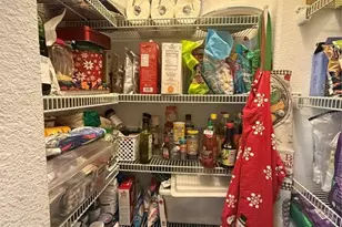 20106 Blue Daze Ave, Tampa, FL 33647 - Photo 33