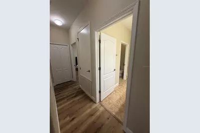 20106 Blue Daze Avenue, Tampa, FL 33647 - Photo 39