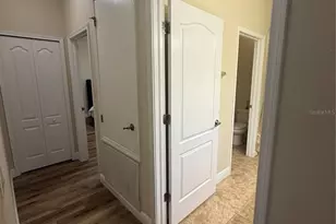 20106 Blue Daze Ave, Tampa, FL 33647 - Photo 39