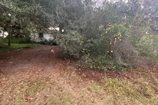 725 Hickory Hammock Rd, Lake Wales, FL 33859 - Photo 39