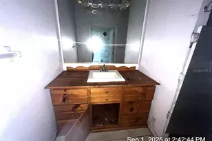 1205 E Knights Griffin Rd, Plant City, FL 33565 - Photo 21