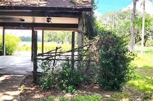 1205 E Knights Griffin Rd, Plant City, FL 33565 - Photo 7