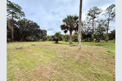 1003 Saint Catherine Avenue, Christmas, FL 32709 - Photo 5