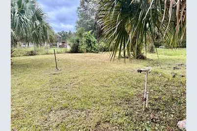 1003 Saint Catherine Avenue, Christmas, FL 32709 - Photo 11