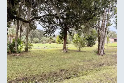 1003 Saint Catherine Avenue, Christmas, FL 32709 - Photo 1