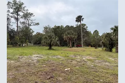 1003 Saint Catherine Avenue, Christmas, FL 32709 - Photo 9