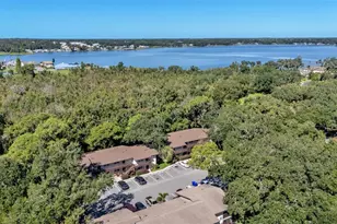 141 Fernery Rd, Lakeland, FL 33809 - Photo 27