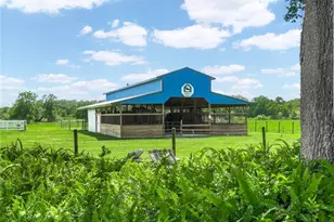 1096 Drew St, Lakeland, FL 33810 - Photo 43