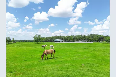 1096 Drew Street, Lakeland, FL 33810 - Photo 55