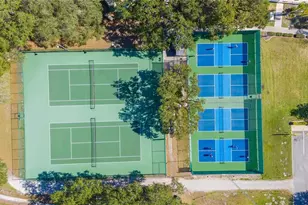 13 Blue Quill Cir, Lake Wales, FL 33898 - Photo 47