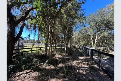 9720 N Road 33, Polk City, FL 33868 - Photo 21
