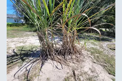 7098 SW 131st Loop, Ocala, FL 34473 - Photo 43