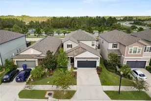 9039 Pleasant Woods Dr, Land O Lakes, FL 34637 - Photo 1