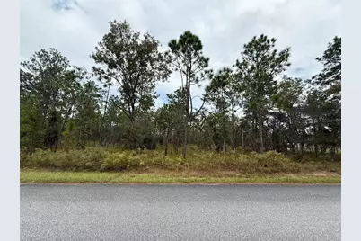 Nw Amberjack Avenue, Dunnellon, FL 34431 - Photo 1