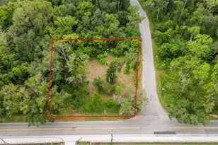 1650 Ariana St, Lakeland, FL 33803 - Photo 3