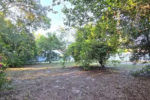 6 Golfview Cir NE, Winter Haven, FL 33881 - Photo 51