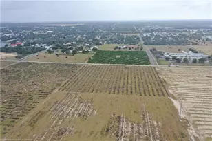 525 E Winthrop St, Avon Park, FL 33825 - Photo 7