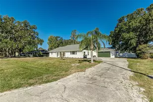 3415 Peacock Ln, Mulberry, FL 33860 - Photo 3