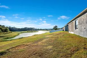 4847 Hickory Stream Ln, Mulberry, FL 33860 - Photo 29