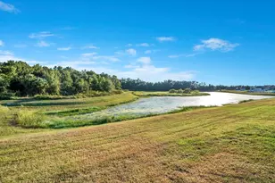 4847 Hickory Stream Ln, Mulberry, FL 33860 - Photo 27