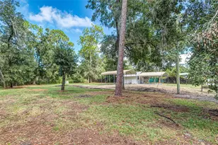 3807 Timberlake Rd N, Lakeland, FL 33810 - Photo 23