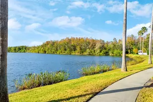 10806 Spring Mountain Pl, Tampa, FL 33626 - Photo 19