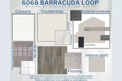 6068 Barracuda Loop, Wimauma, FL 33598 - Photo 3