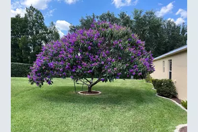 4016 Carteret Drive, Winter Haven, FL 33884 - Photo 5