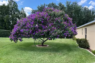 4016 Carteret Dr, Winter Haven, FL 33884 - Photo 5