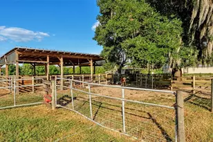 5826 Fussell Rd, Polk City, FL 33868 - Photo 41