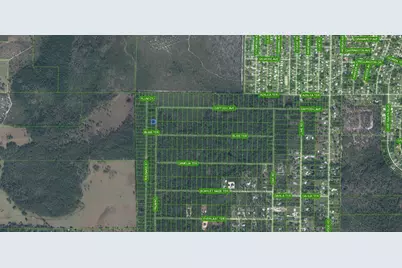 4817 Palm Road, Sebring, FL 33875 - Photo 3